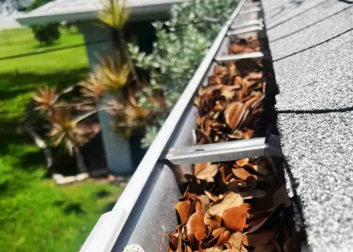 Belvedere Park gutter cleaning home page